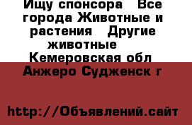 Ищу спонсора - Все города Животные и растения » Другие животные   . Кемеровская обл.,Анжеро-Судженск г.